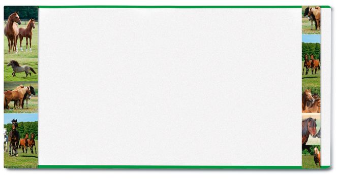 Hovedbilde HERMÄX ferdigbind til bøker, Hest, 267x540 mm (5 ...