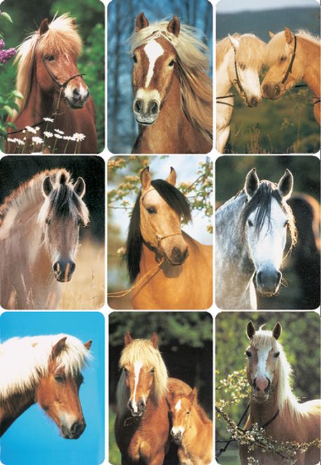 Hovedbilde DECOR Stickers  Hestehoder, 3 ark (10 pakk)