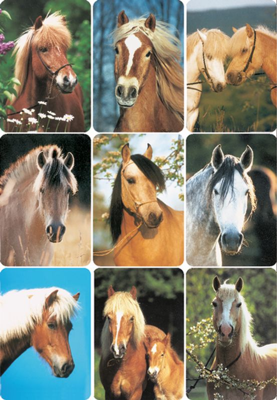 DECOR Stickers  Hestehoder, 3 ark (10 pakk)