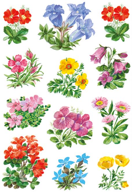 Hovedbilde DECOR Stickers  Alpeblomster, 3 ark (10 pakk)