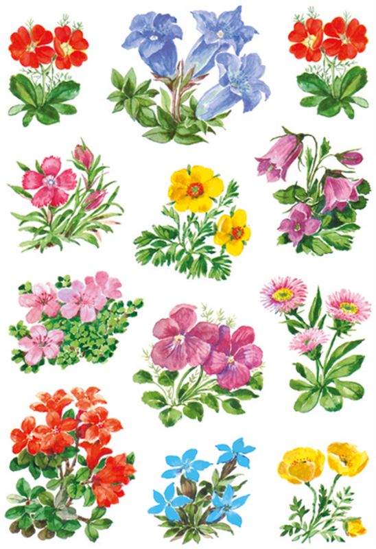 DECOR Stickers  Alpeblomster, 3 ark (10 pakk)