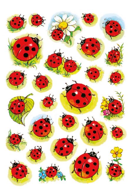 Hovedbilde DECOR Stickers Marihøner med blomster, 3 ark (10 ...