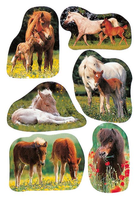 Hovedbilde DECOR Stickers Bilder av hester, papir, 3 ark (10 ...