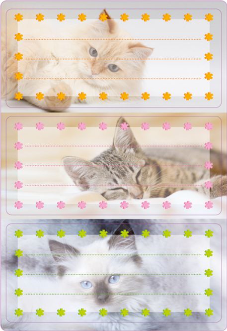 Hovedbilde VARIO boketiketter Katter med glitter, 2 ark (10 ...