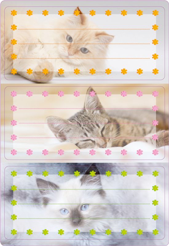 VARIO boketiketter Katter med glitter, 2 ark (10 pakk)