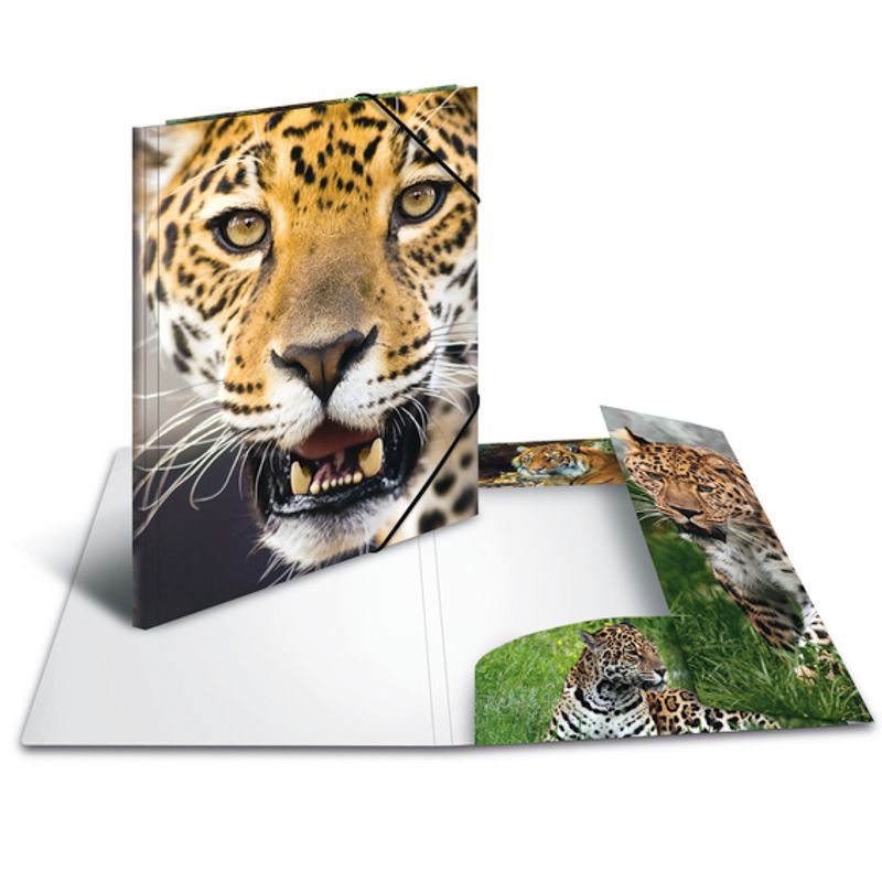 HERMA strikkmappe i plastmateriale, A4, Dyr, Leopard (3 pakk)