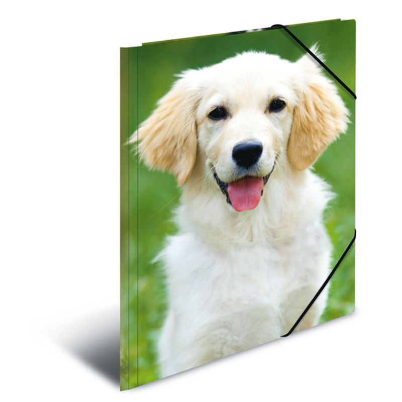 HERMA strikkmappe i plastmateriale, A4, Dyr, Hund (3 pakk)